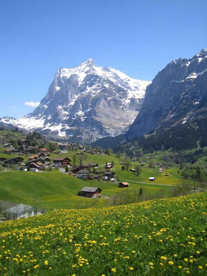 Chalet Baergblick Grindelwald Exterior foto