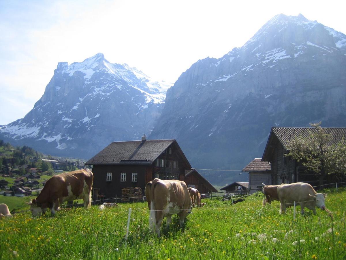 Chalet Baergblick Grindelwald Exterior foto