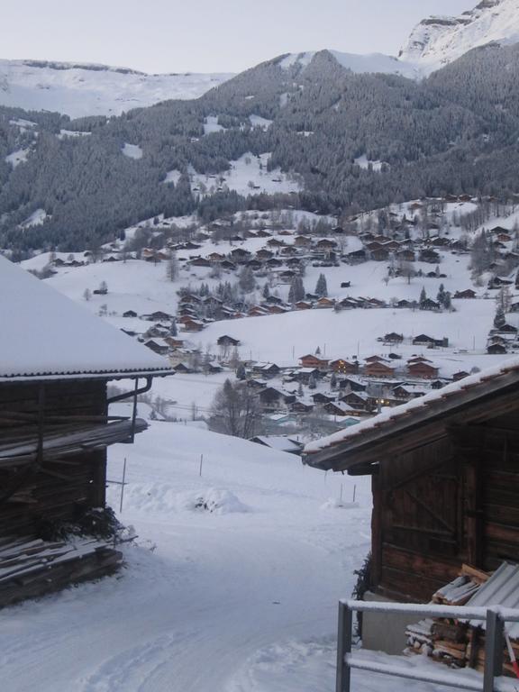 Chalet Baergblick Grindelwald Habitación foto