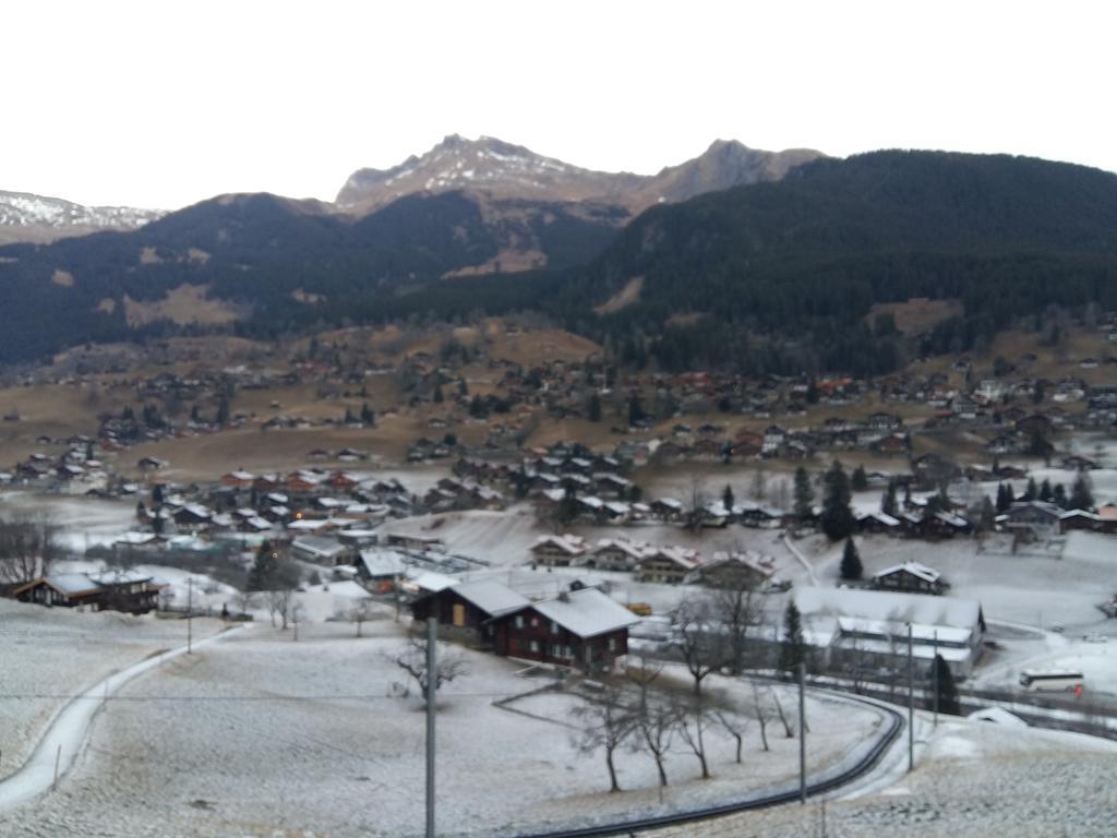 Chalet Baergblick Grindelwald Exterior foto
