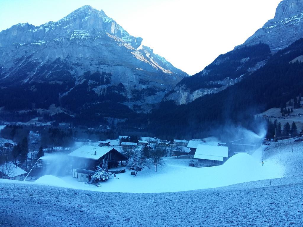 Chalet Baergblick Grindelwald Exterior foto