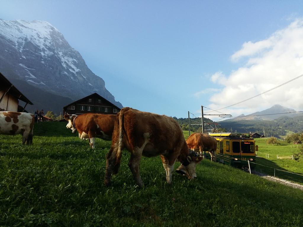 Chalet Baergblick Grindelwald Exterior foto