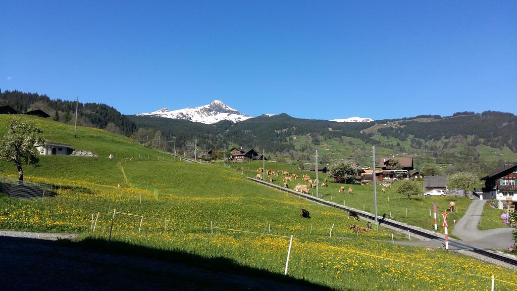 Chalet Baergblick Grindelwald Exterior foto