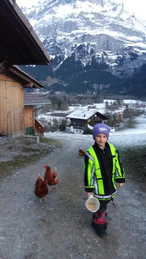 Chalet Baergblick Grindelwald Exterior foto